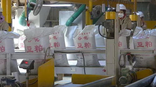 突破20亿 漳州港企业实施技改助推产业发展
