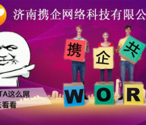济南企业网站开发及新媒体推广策略