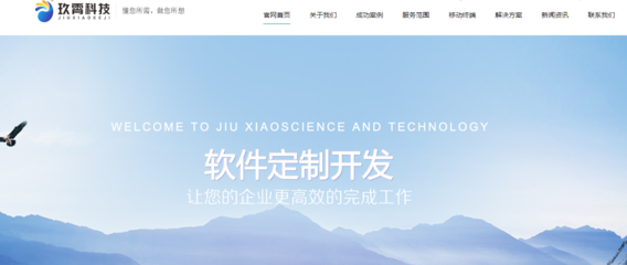 济南企业网站开发 定制解决方案助您实现数字化转型