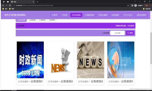 ssm465软件开发团队管理网站 vue