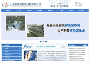 定制化企业网站 济南网站建设公司的专业选择与价值